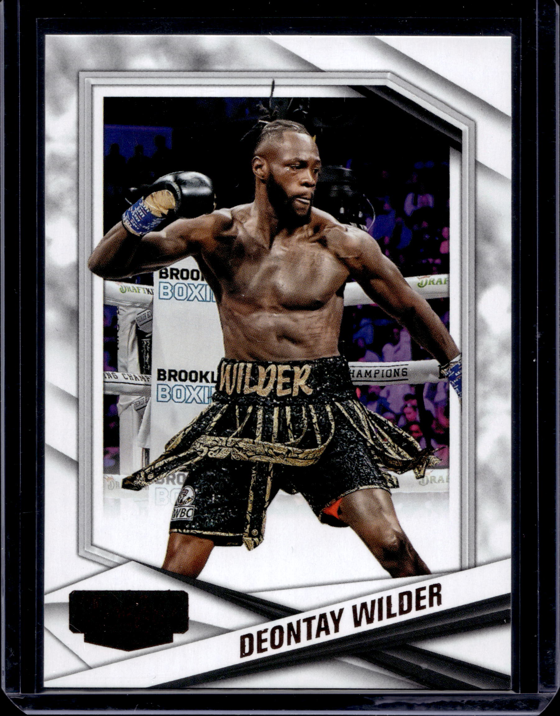 2025 PANINI COMBAT ANTHOLOGY DEONTAY WILDER #8